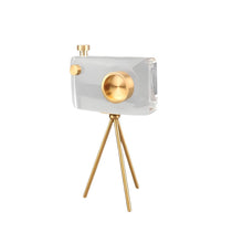Load image into Gallery viewer, Camera Ornament - Crystal Clear, 30 cm