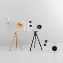 Load image into Gallery viewer, Camera Ornament - Crystal Clear, 30 cm
